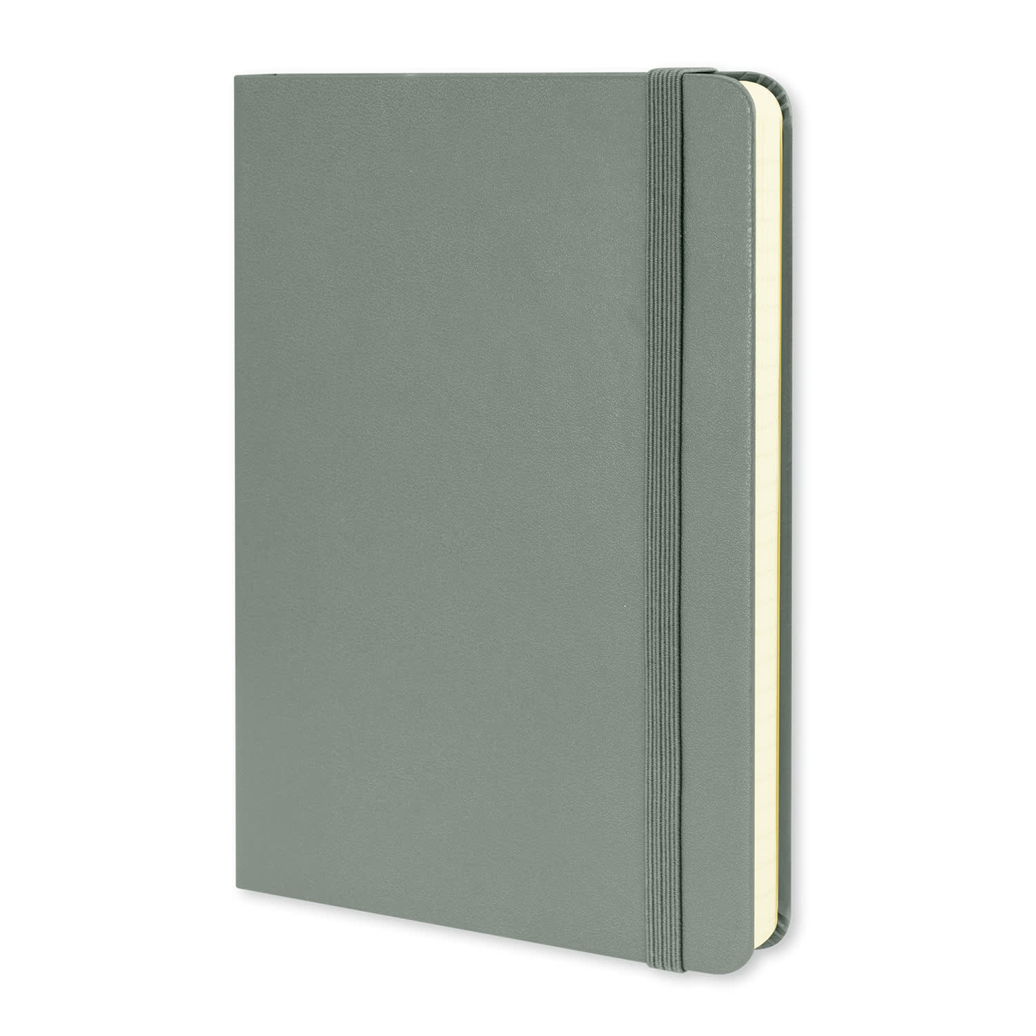 Moleskine Classic Hard Cover Notebook - Medium - 117222 Image Grey