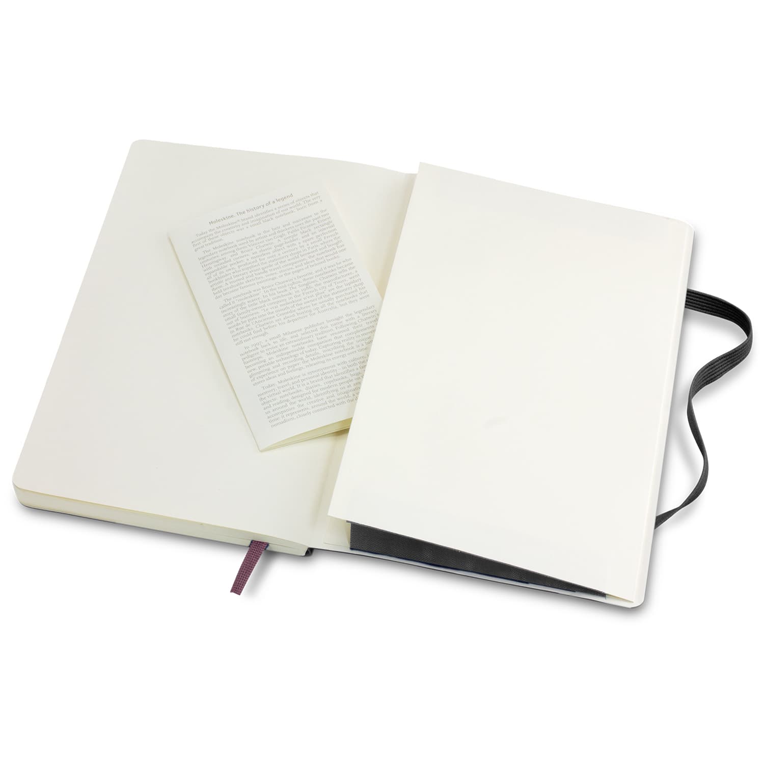 Moleskine Classic Soft Cover Notebook - Large - 117223 Image 