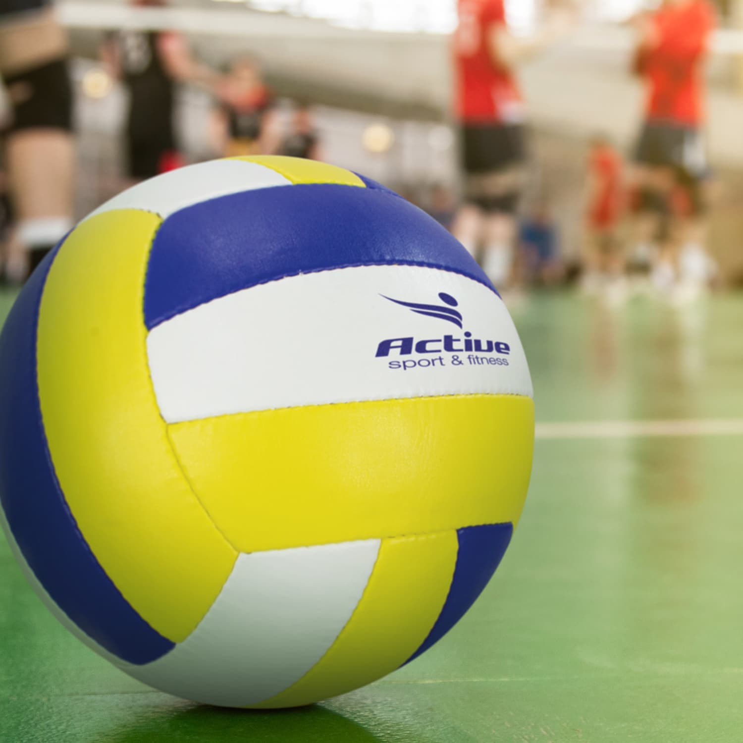 Volleyball Pro - image 3