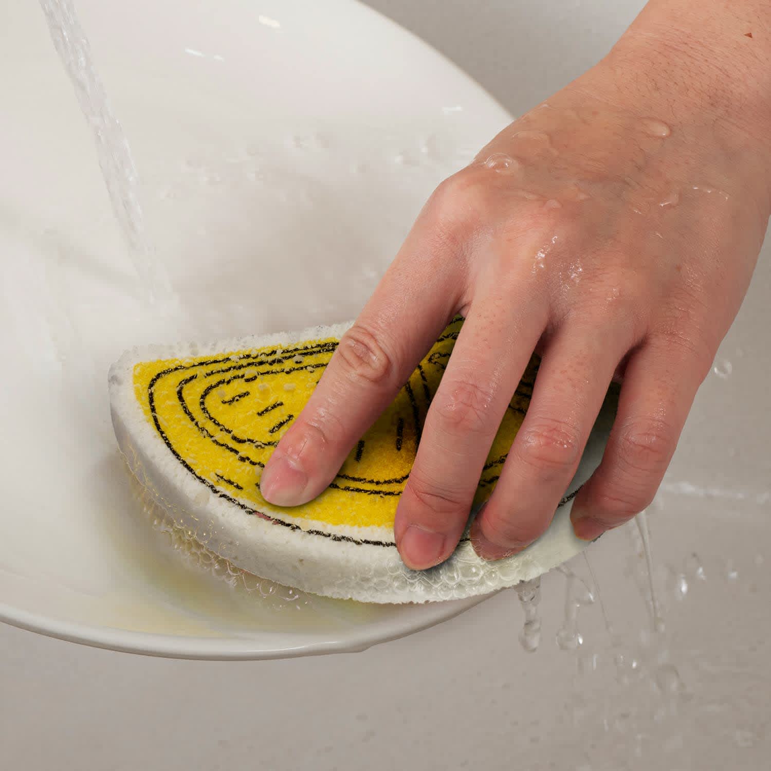 Expandable Sponge - 123106 Image