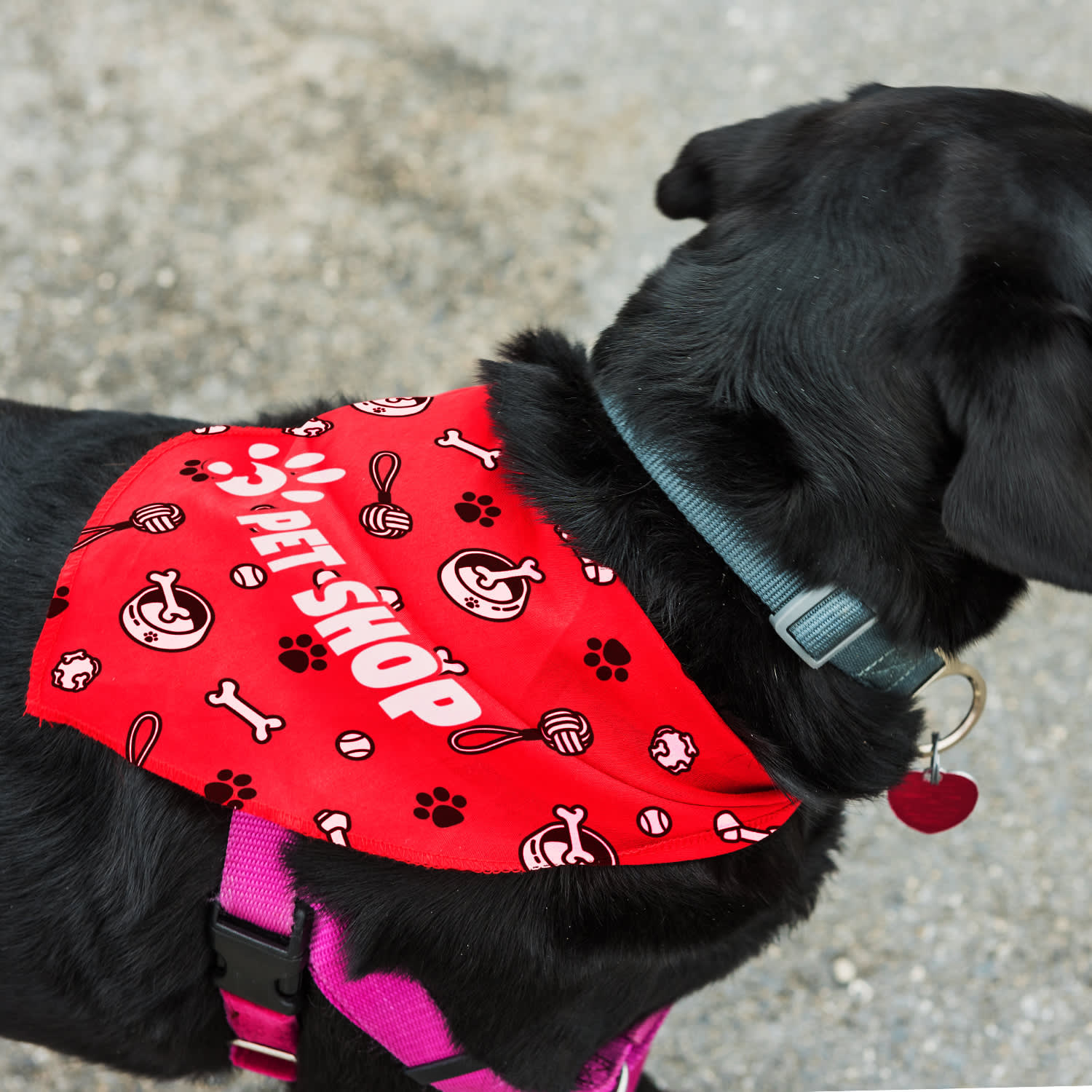 Pet Bandana - Large - image 2