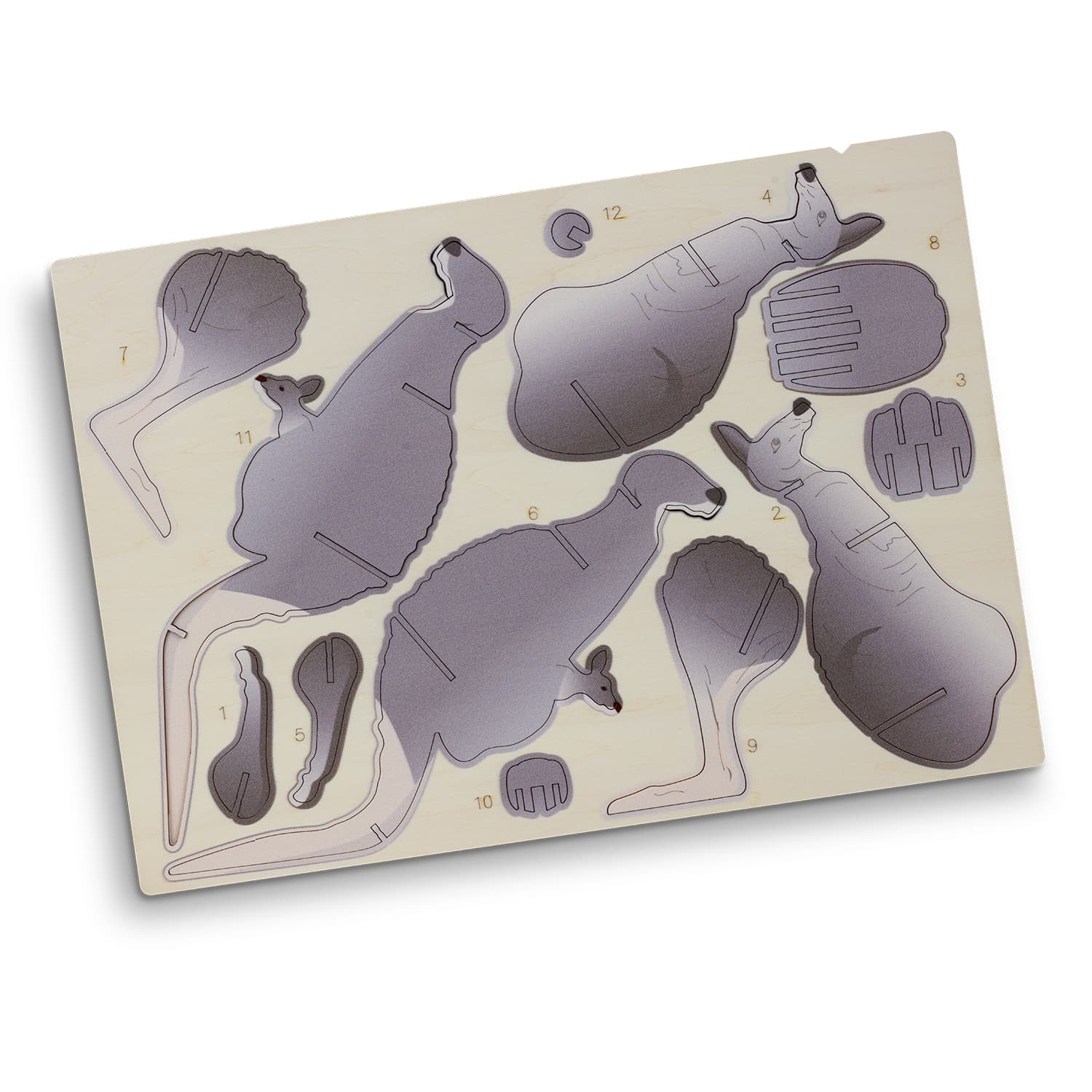 BRANDCRAFT Kangaroo Wooden Model - 124044 Image