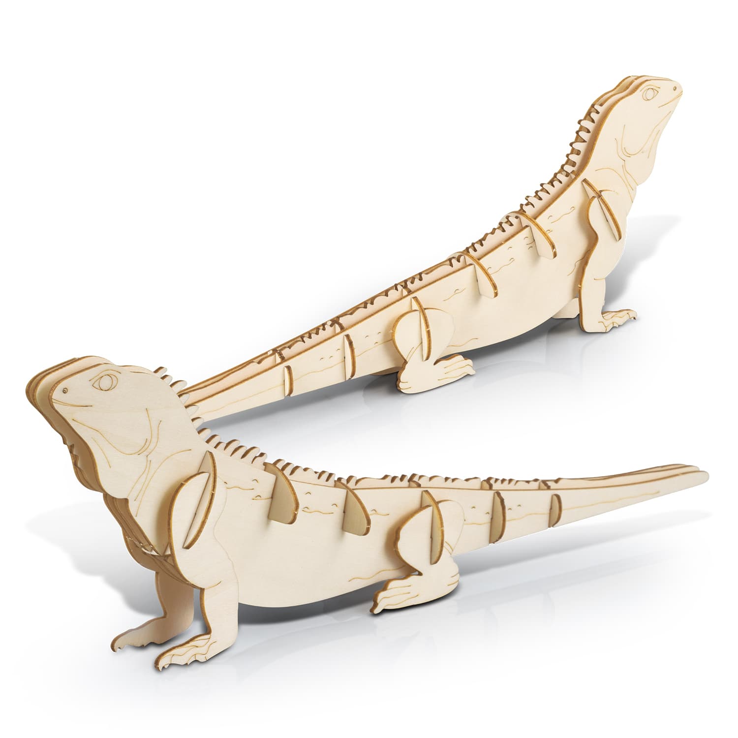 BRANDCRAFT Tuatara Wooden Model - 124046 Image 