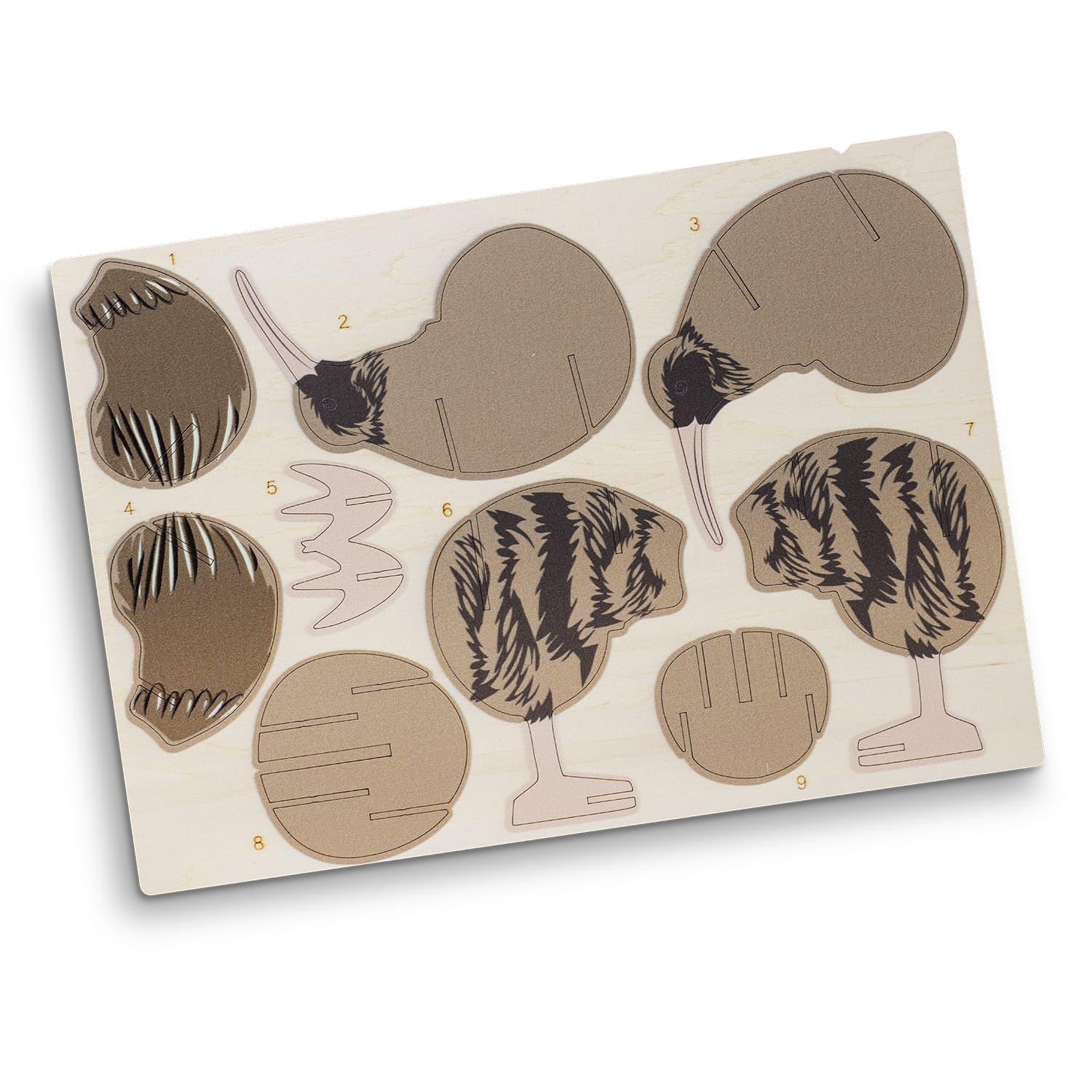 BRANDCRAFT Kiwi Wooden Model - 124049 Image