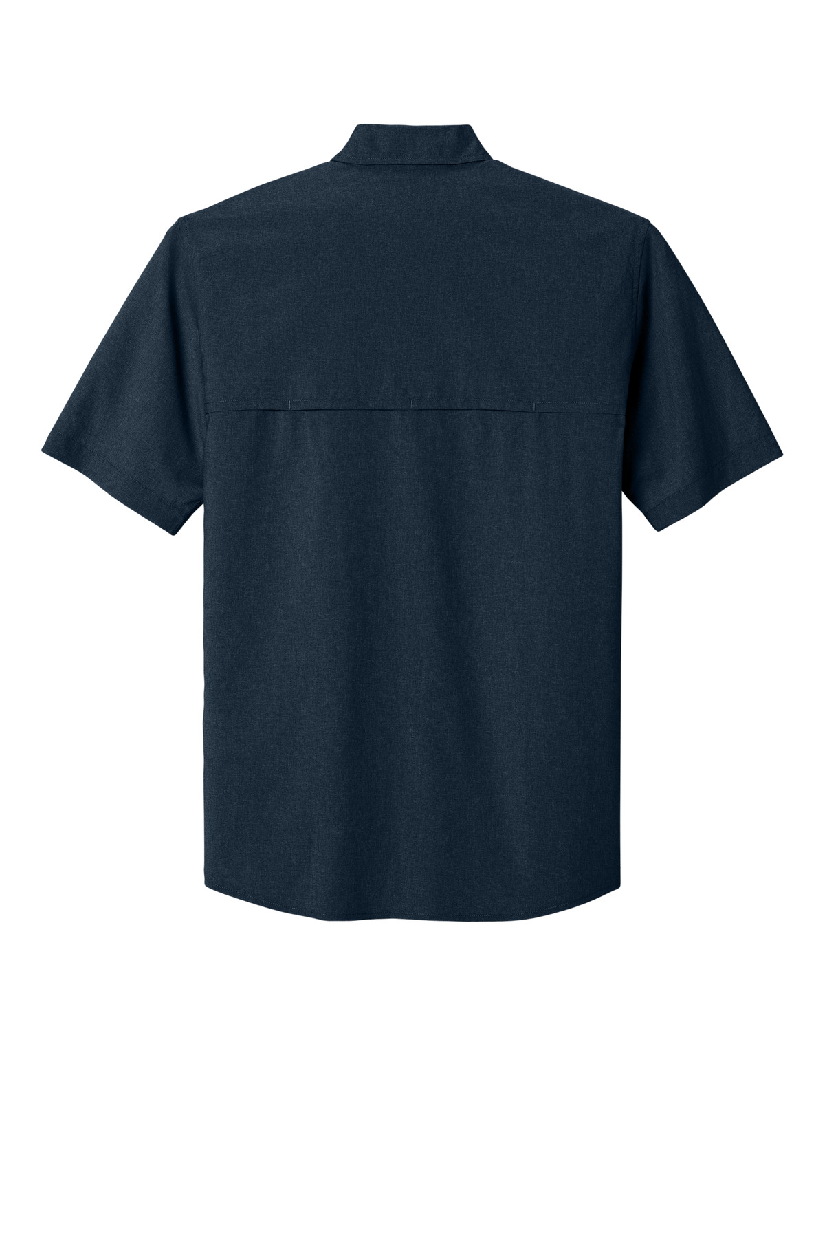 Large
