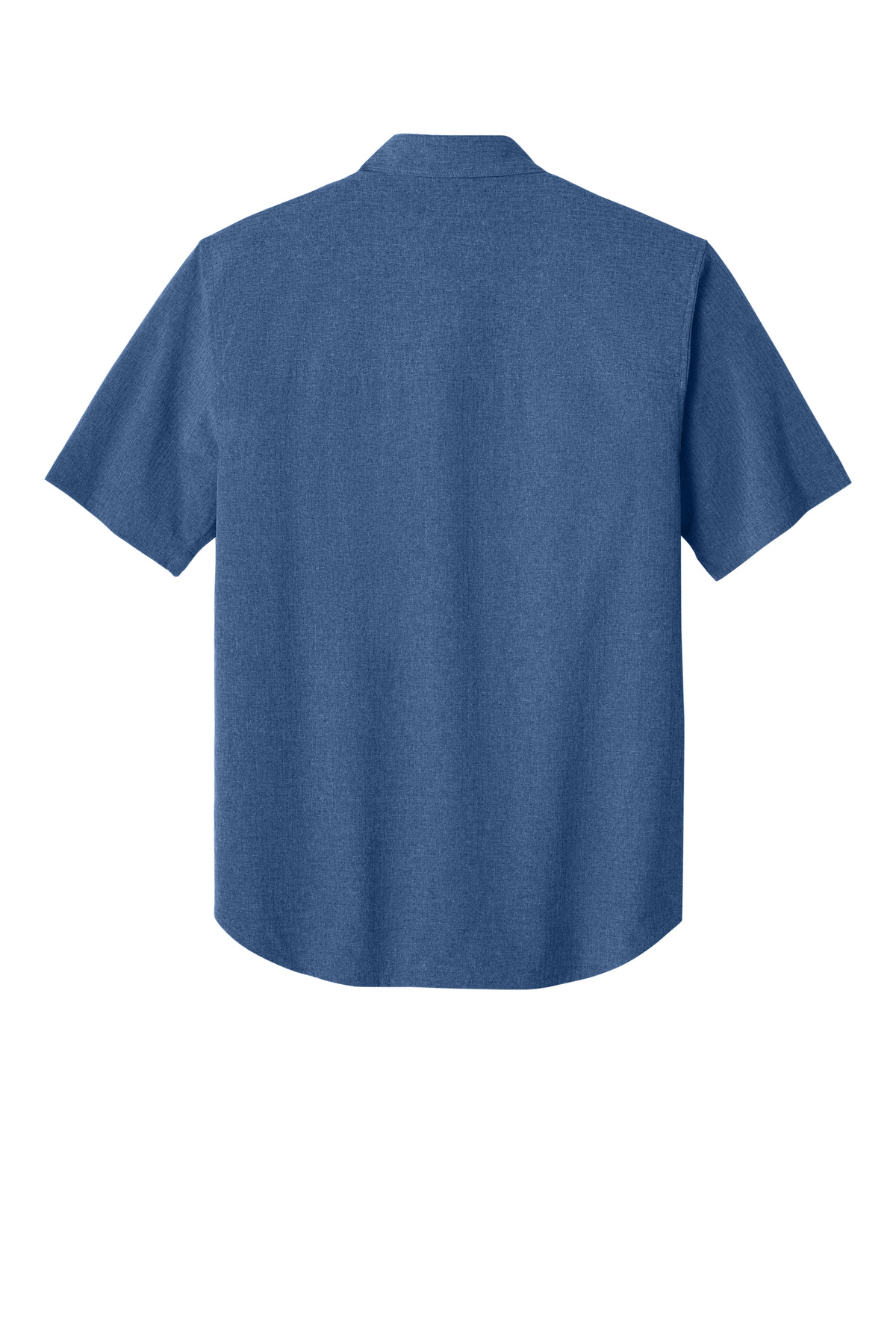 Large