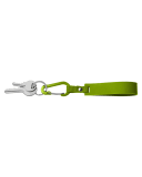 ACID GREEN