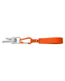 CAMPUS ORANGE