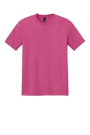 Fuchsia Frost