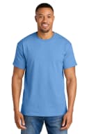 Carolina Blue