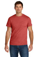 Fiery Red Heather