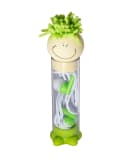 GREEN-LIME