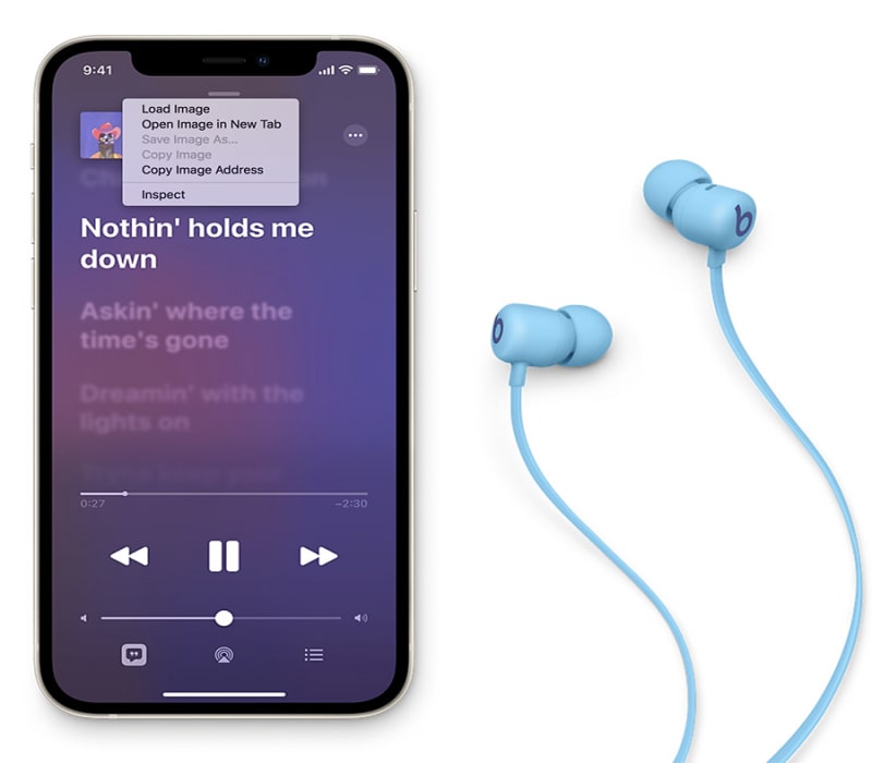 Beats Flex All Day Wireless Earphones custom printed case with