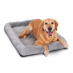 Camas para Cães