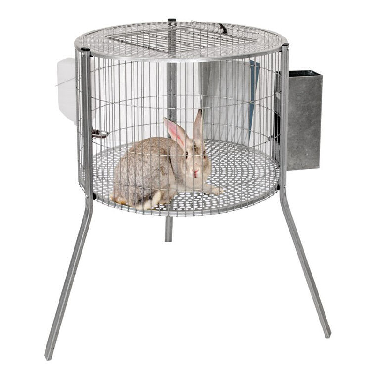 Gaiolas para Coelhos