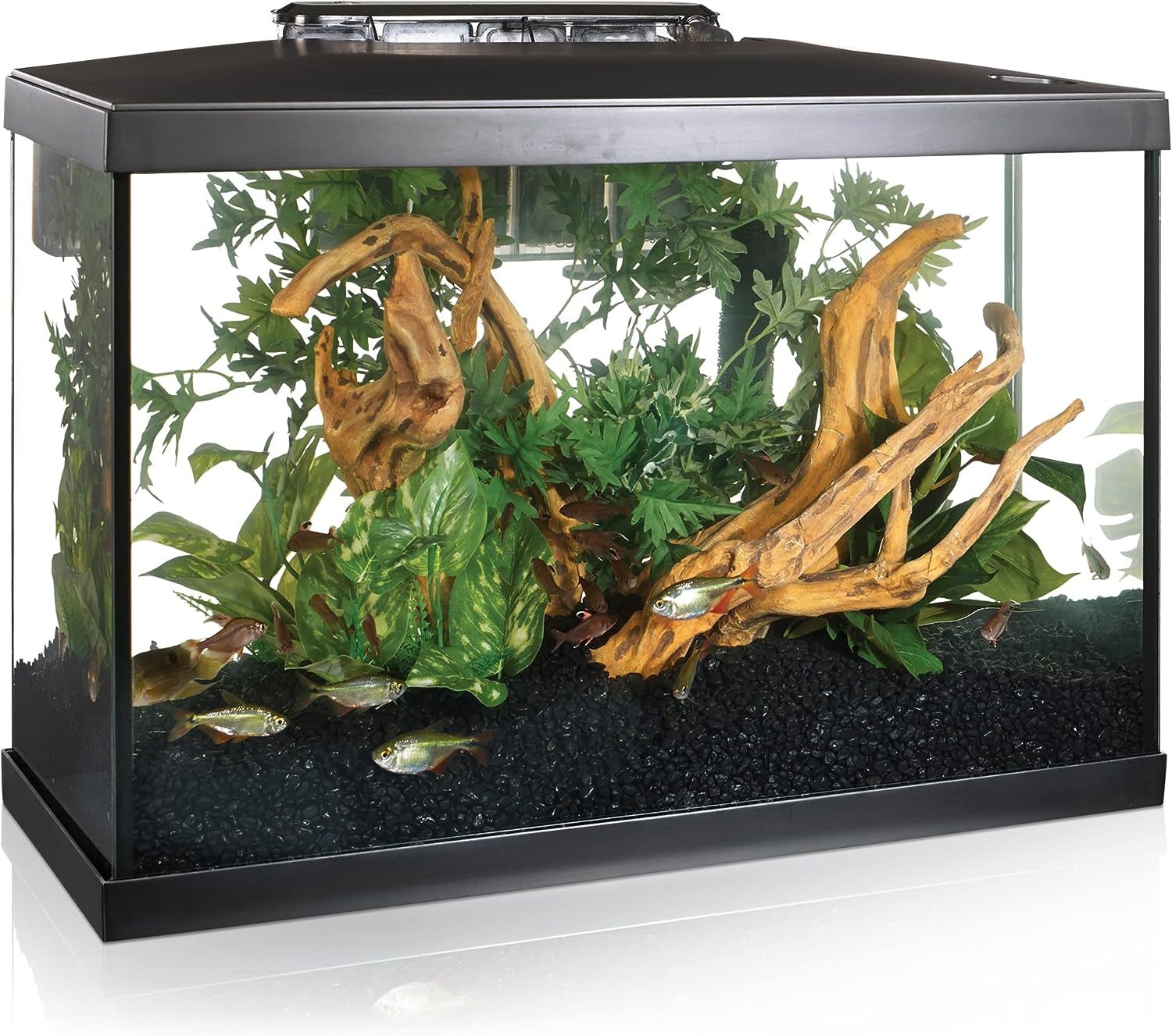 Marina - Kit de Aquário com iluminação LED 20G, 75 l, 61,4 x 32,2 x 41,9 cm
