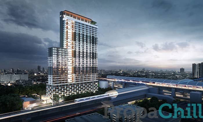 Niche Pride Taopoon-Interchange