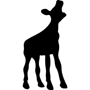 Nederlands Film Festival