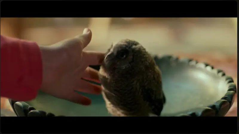 Wild Witch - Vildheks