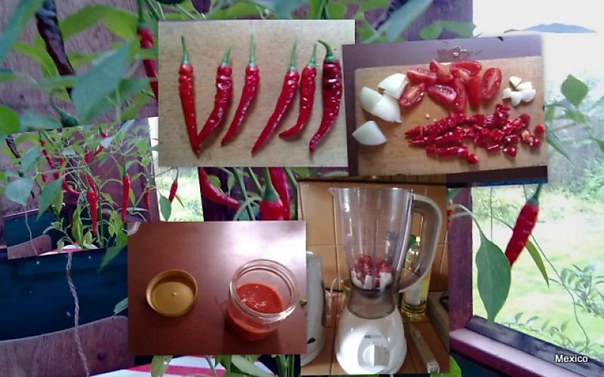 Cayenne salsa Cayenne salsa
