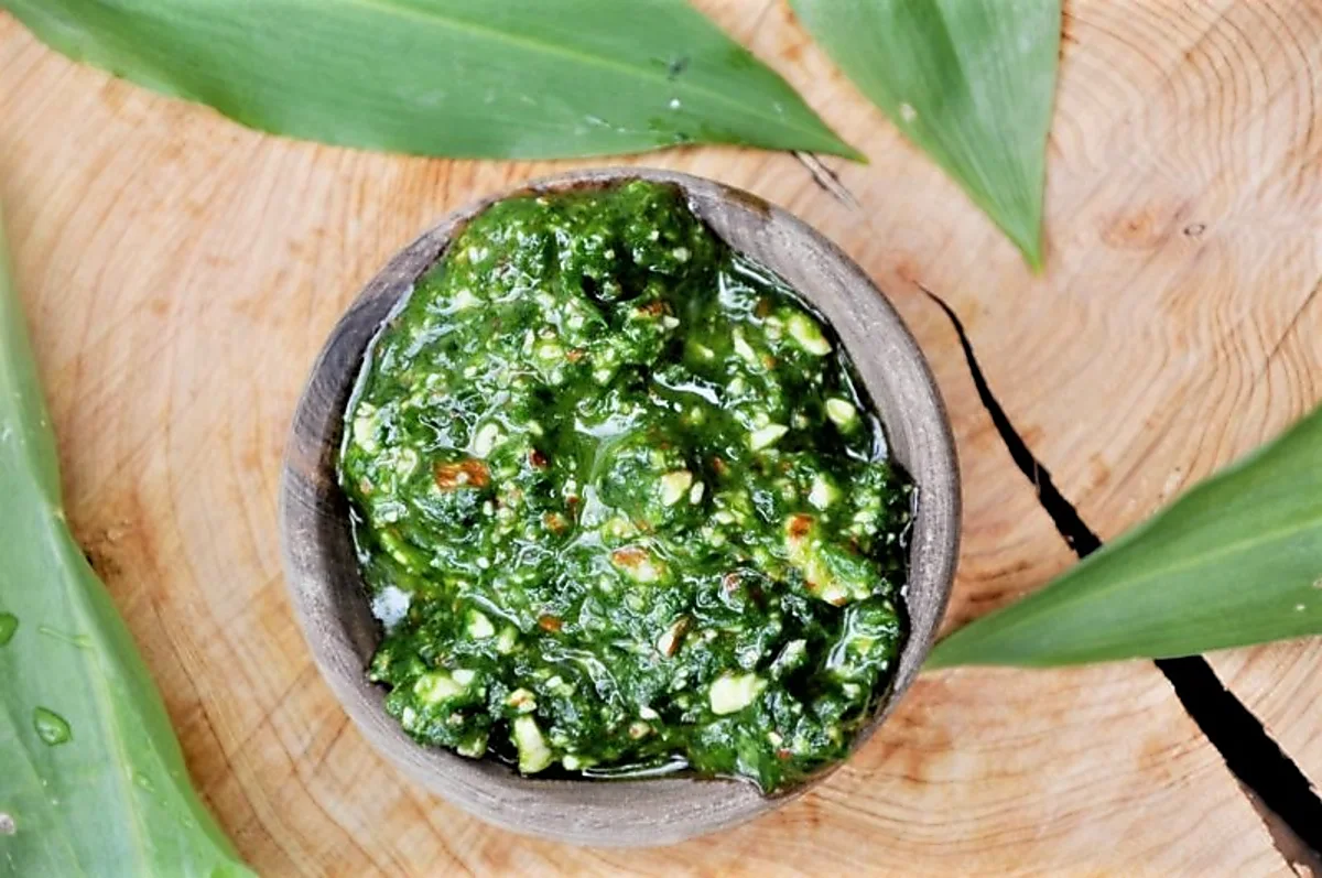 Ramsløgpesto Ramsløgpesto