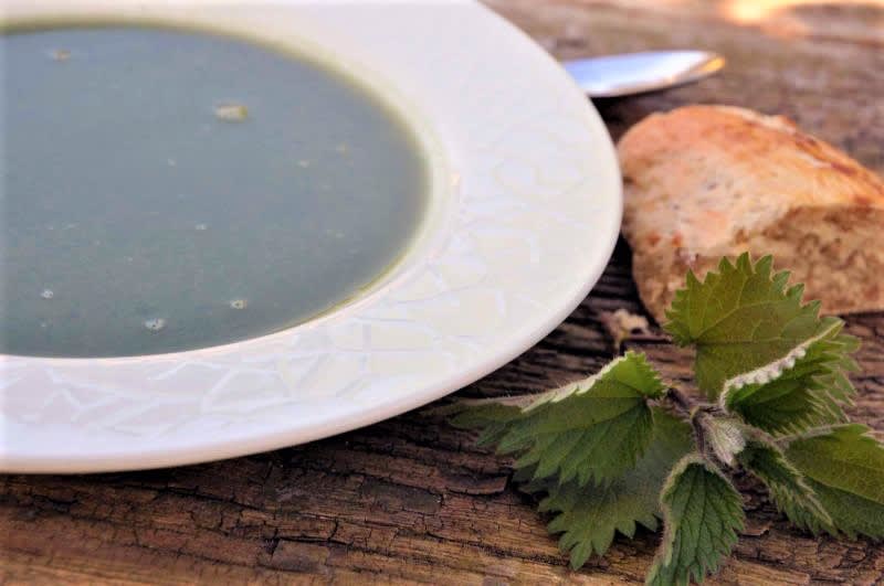 Brændenældesuppe Brændenældesuppe opskrift - Lækker hjemmelavet ret