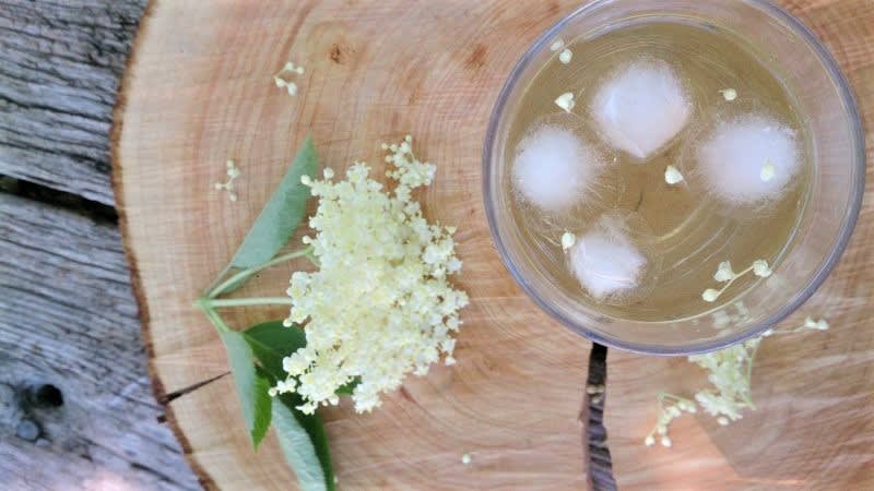 Hyldeblomstdrik opskrift - Lækker hjemmelavet ret