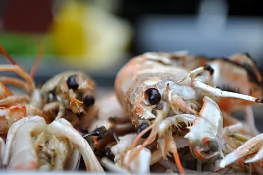 Jomfruhummere på Grill