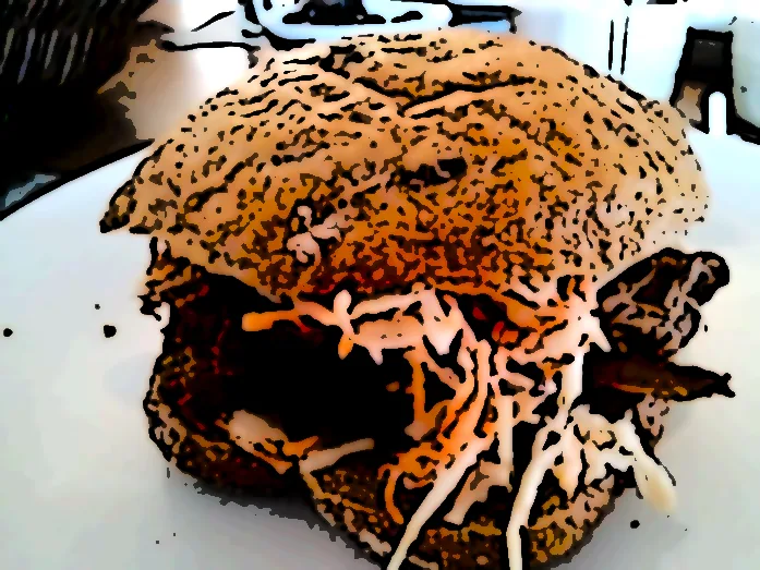 Pulled Pork burger