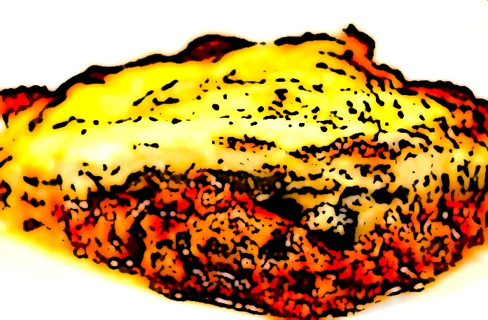 Vegetar lasagne