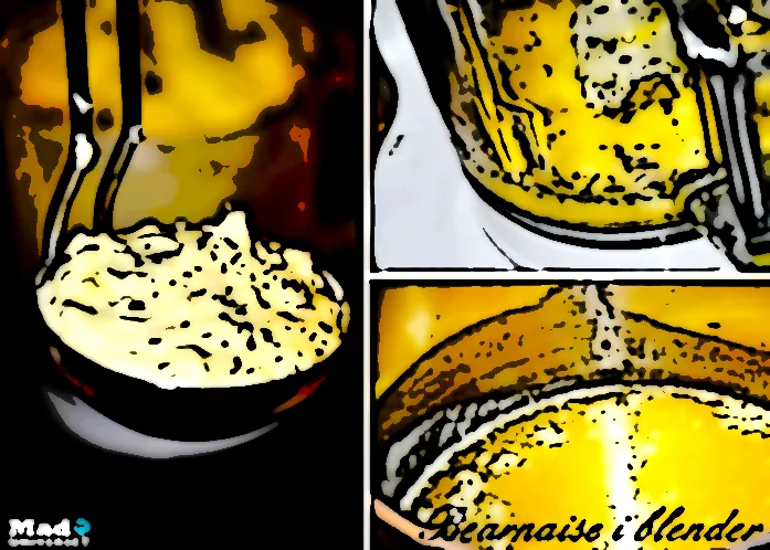 Bearnaise  sauce i blender