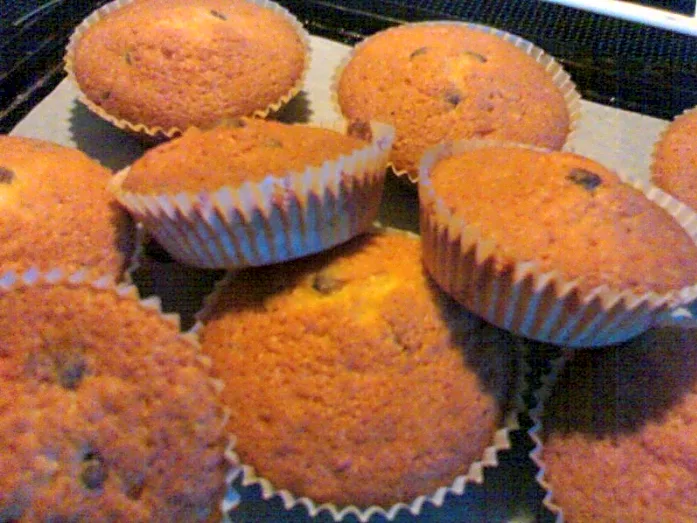 Chokolade muffins