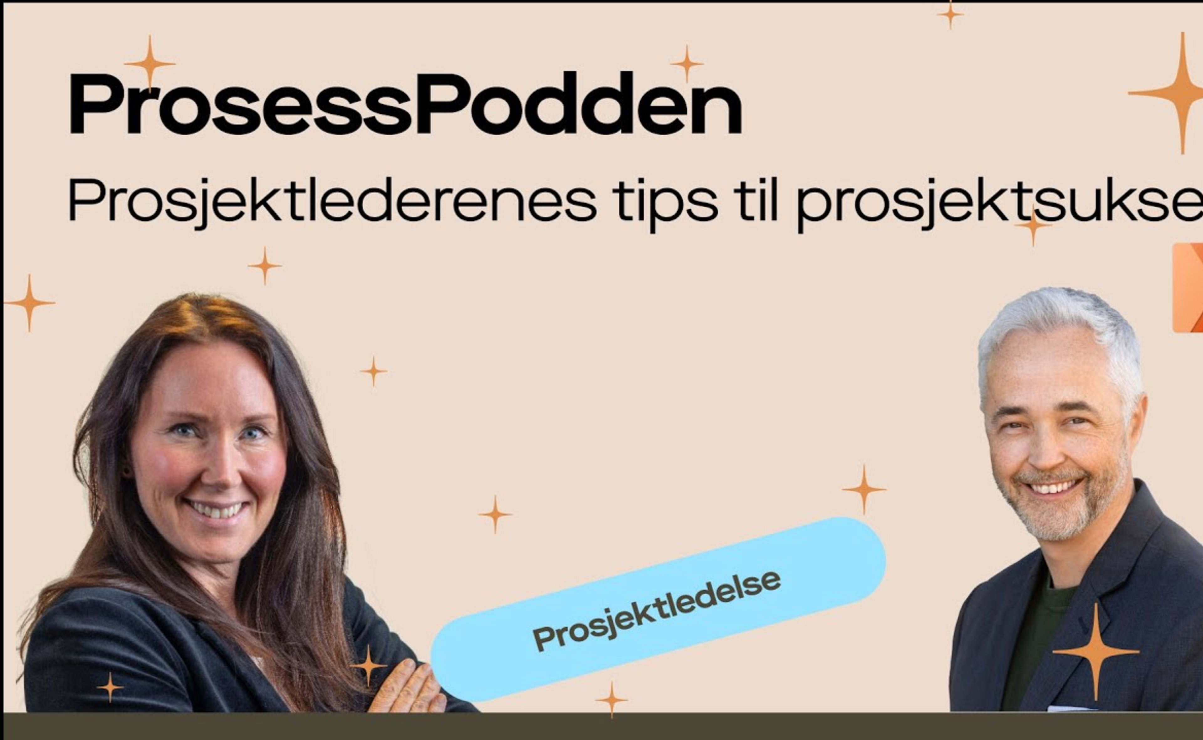 Omslag til opptaket «Prosjektledernes tips til prosjektsuksess»