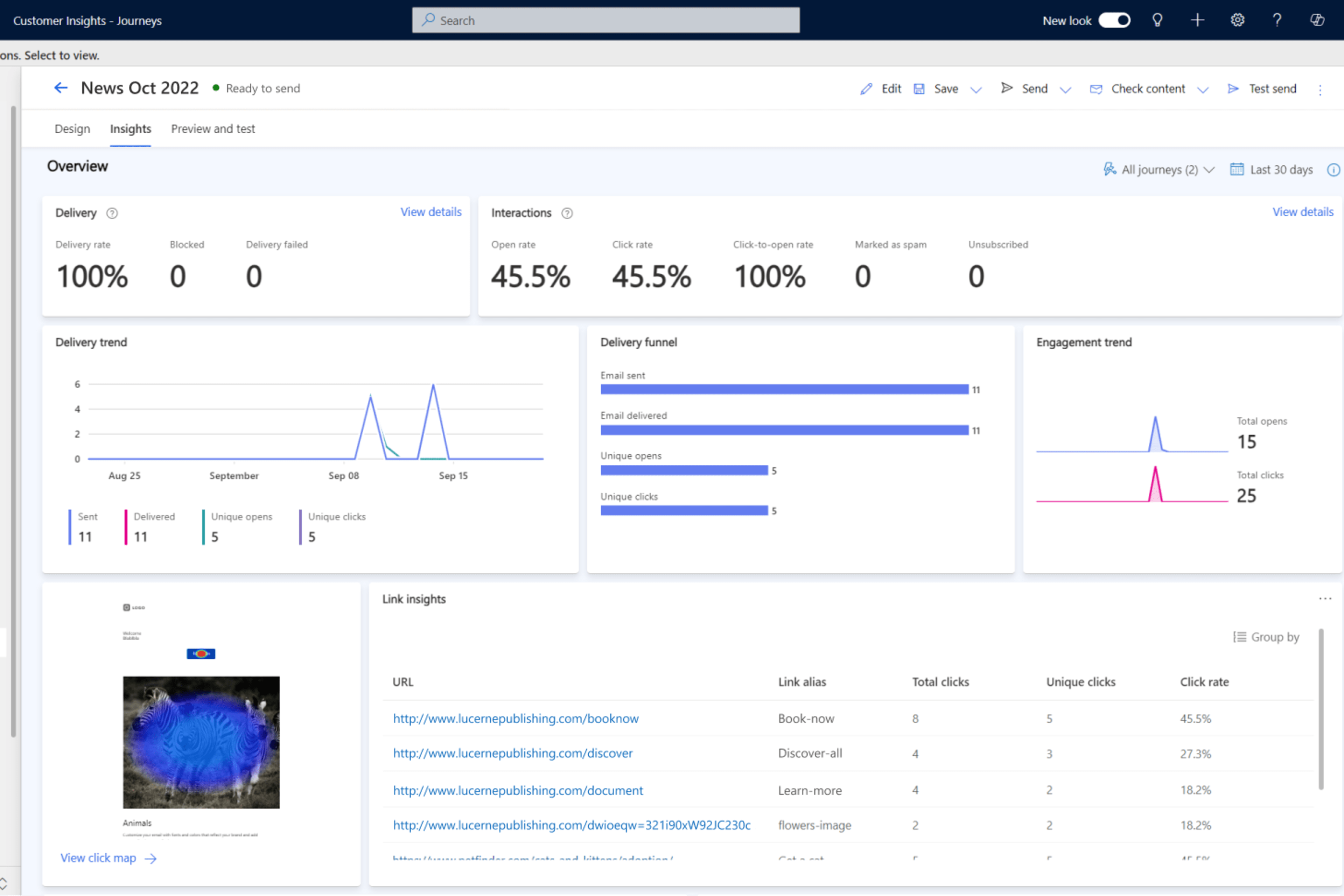 An email analytics dashboard in Customer Insights – Journeys showing open, click and delivery metrics.