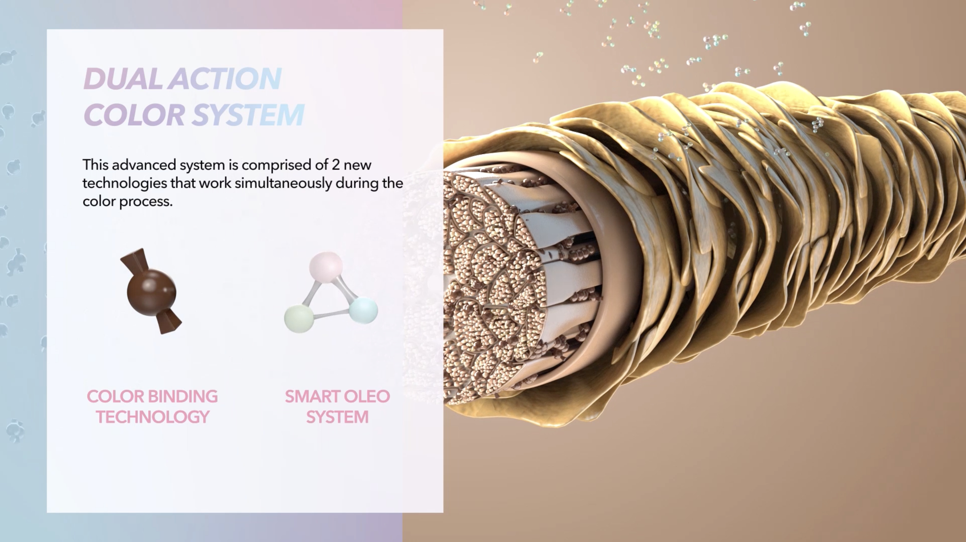 Education Technology Visual