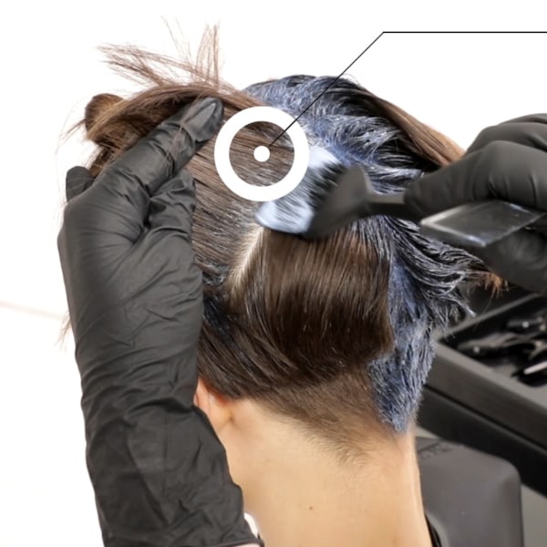 Igora Royal Takeover educational graphic