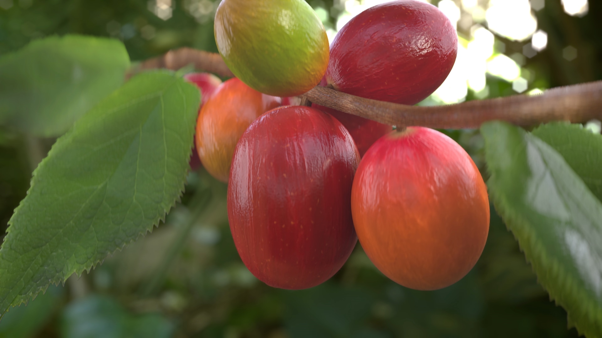 3D coffee promotional video