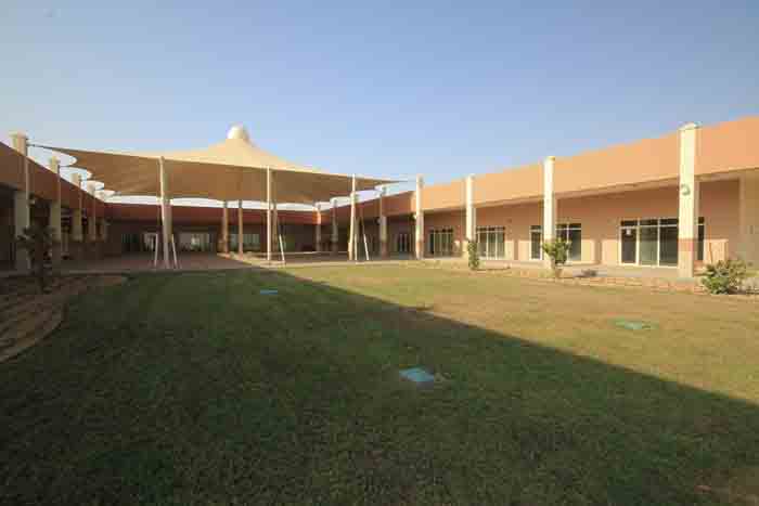 Progressive Claim Status >> Birds & Pets Market at Al Warsan 3 | ProTenders Progressive Claim Status >> Birds & Pets Market at Al Warsan 3 | ProTenders