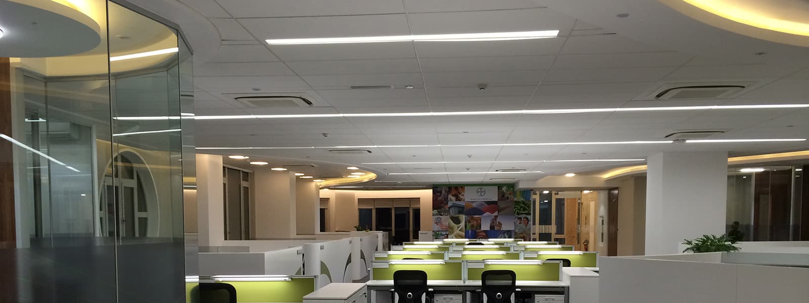 Bayer Corporate Office ProTenders