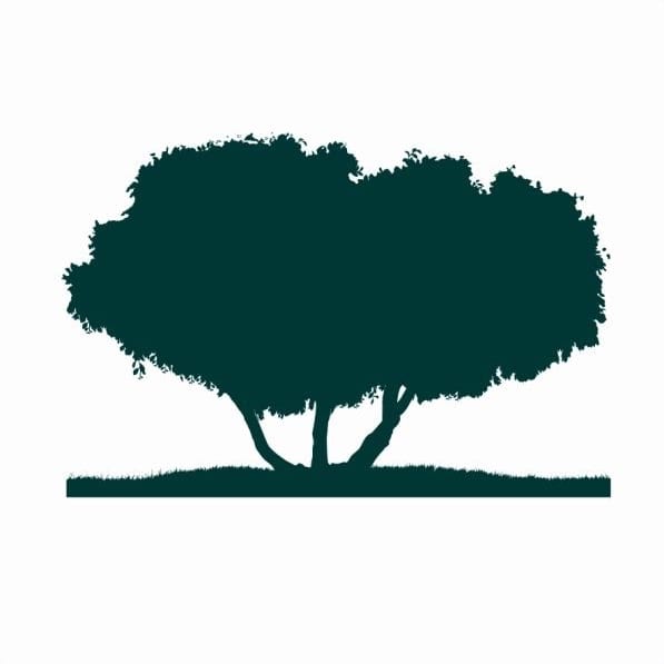 Qatar Foundation Protenders