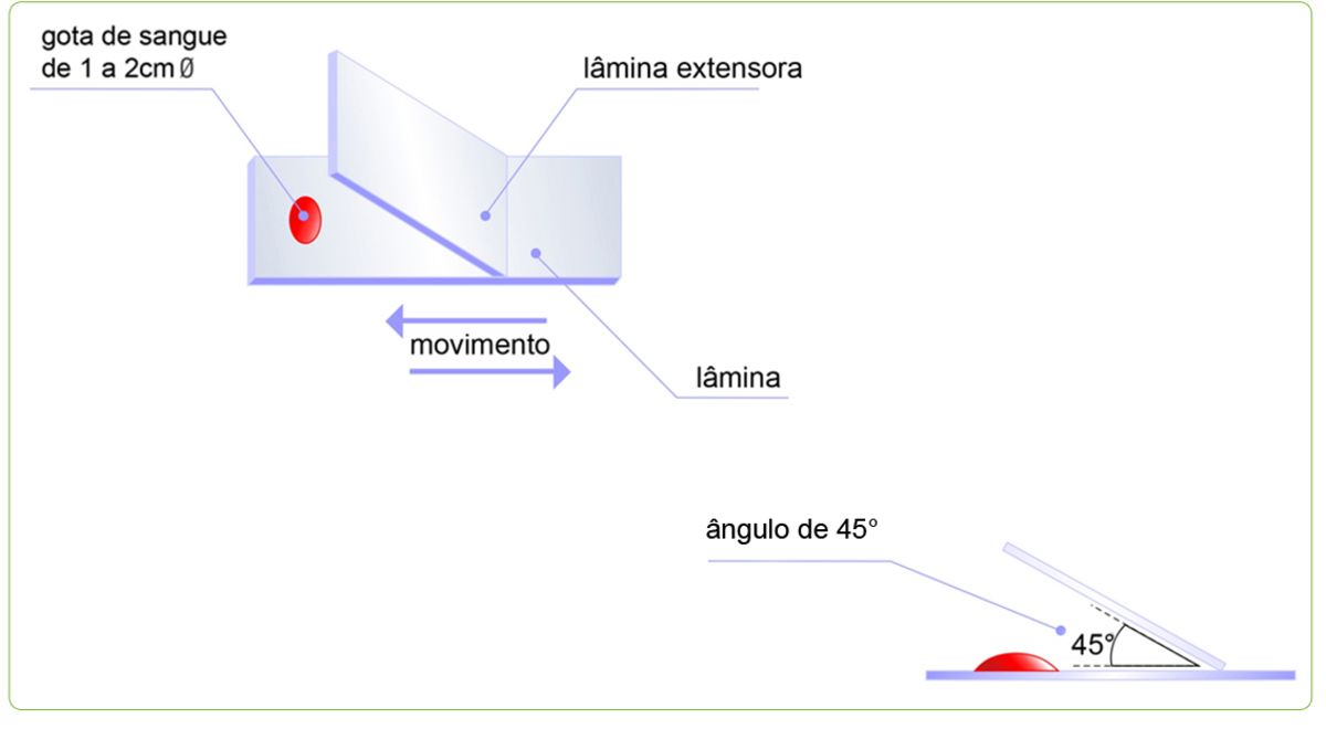 biologia-medicina-vestibular-10