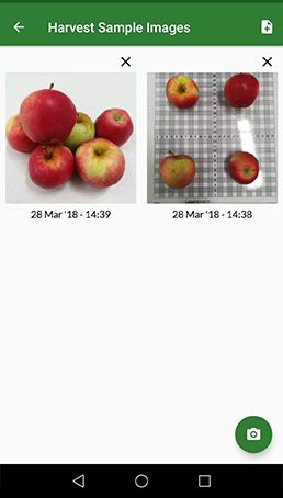 pear note record call pear note record call