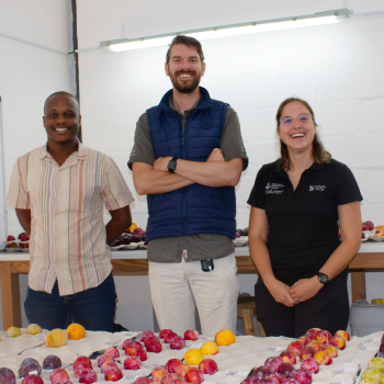 THE PROCESS BEHIND PROVAR’S FRUIT TASTINGS