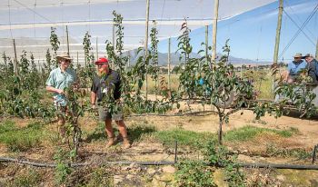 South African growers forging their own trials