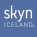 skyn ICELAND logo