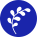 Soapwalla logo