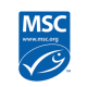 MSC