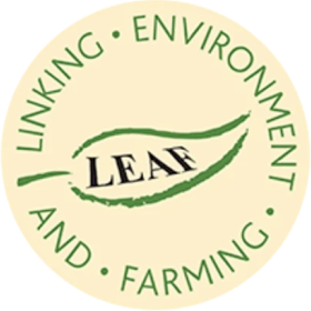 Leaf Marque