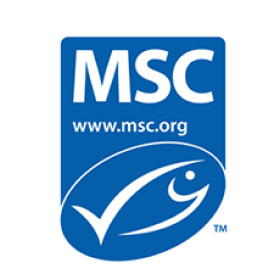 MSC