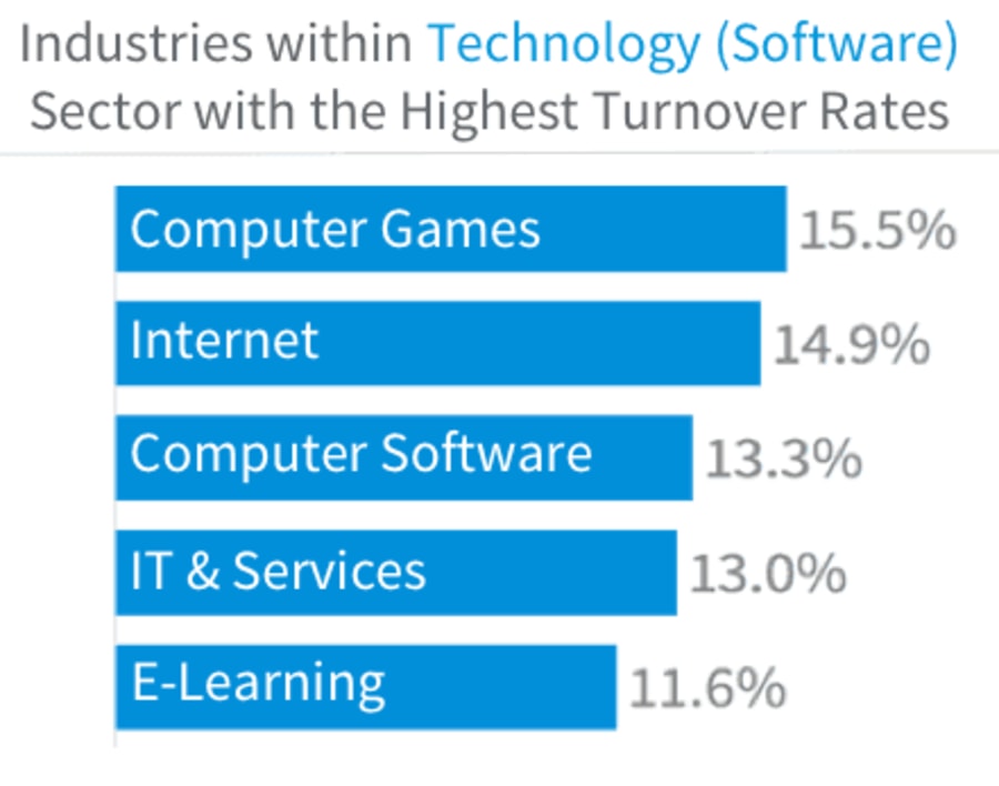 Industries within software with highest turnover